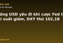 Đồng USD yếu đi khi cược Fed tăng lãi suất giảm, DXY thử 102,18